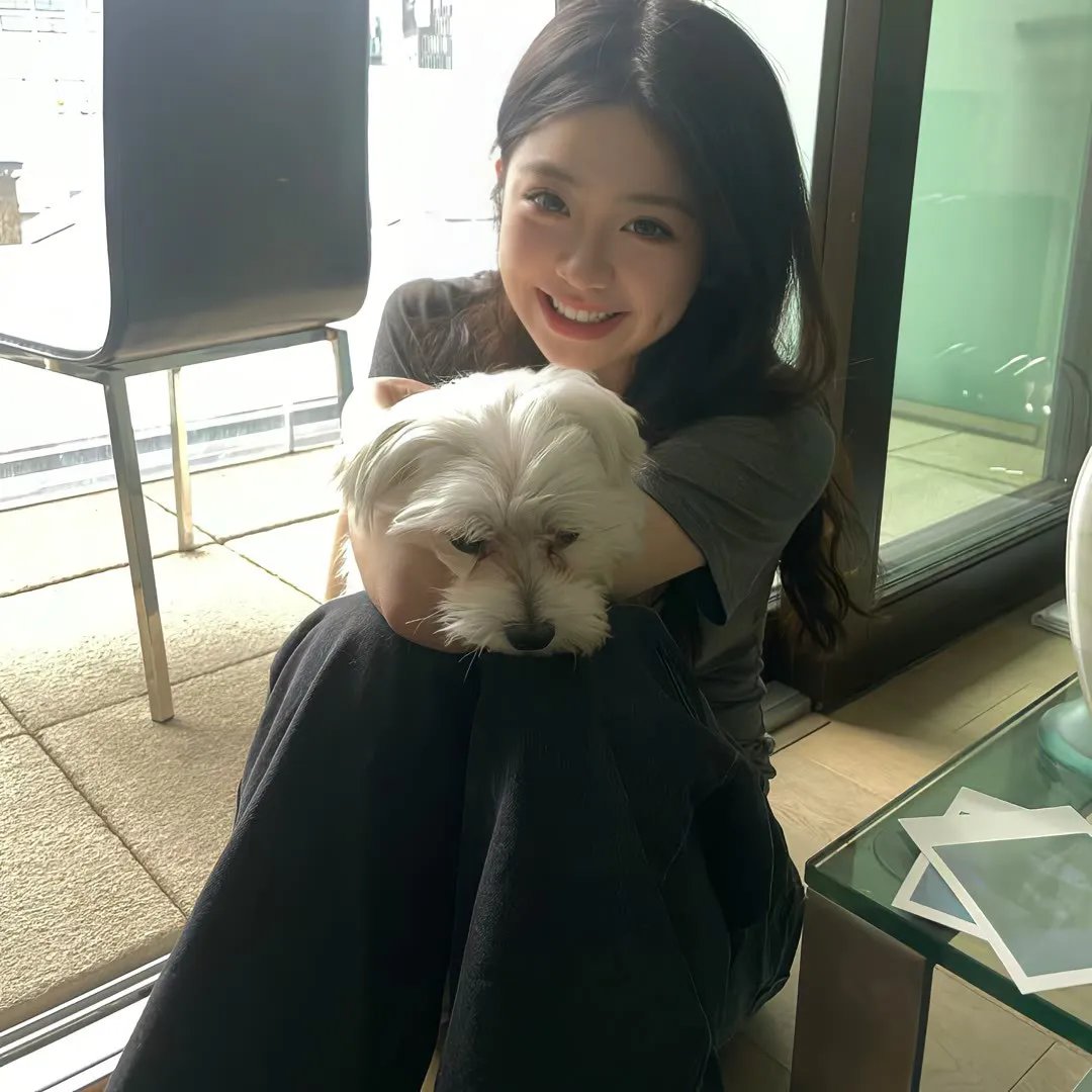 彩象岛的女孩儿